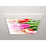 Gök Panel 60X60 LED Panel Aydınlatma Armatür Avize Sıva Üstü Desenli Tekli 46511112SU - 6500K - Beyaz