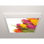 Gök Panel 60X60 LED Panel Aydınlatma Armatür Avize Sıva Üstü Desenli Tekli 46511117SU - 6500K - Beyaz