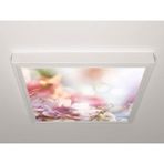 Gök Panel 60X60 LED Panel Aydınlatma Armatür Avize Sıva Üstü Desenli Tekli 46511122SU - 6500K - Beyaz