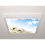 Gök Panel 60X60 LED Panel Aydınlatma Armatür Avize Sıva Üstü Desenli Tekli 46511124SU - 6500K - Beyaz