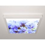 Gök Panel 60X60 LED Panel Aydınlatma Armatür Avize Sıva Üstü Desenli Tekli 46511129SU - 6500K - Beyaz
