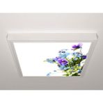 Gök Panel 60X60 LED Panel Aydınlatma Armatür Avize Sıva Üstü Desenli Tekli 46511131SU - 6500K - Beyaz