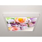 Gök Panel 60X60 LED Panel Sıva Üstü Desenli Tekli 46510160SU - 6500K - Beyaz