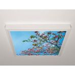 Gök Panel 60X60 LED Panel Sıva Üstü Desenli Tekli 46510168SU - 6500K - Beyaz