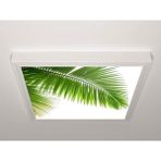 Gök Panel 60X60 LED Panel Sıva Üstü Desenli Tekli 46510905SU - 6500K - Beyaz