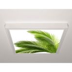 Gök Panel 60X60 LED Panel Sıva Üstü Desenli Tekli 46510915SU - 6500K - Beyaz