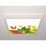 Gök Panel 60X60 LED Panel Sıva Üstü Desenli Tekli 46510968SU - 6500K - Beyaz