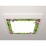 Gök Panel 60X60 LED Panel Sıva Üstü Desenli Tekli 46511013SU - 6500K - Beyaz