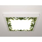 Gök Panel 60X60 LED Panel Sıva Üstü Desenli Tekli 46511019SU - 6500K - Beyaz