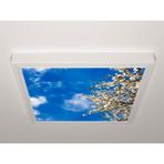 Gök Panel 60X60 LED Panel Sıva Üstü Desenli Tekli 46511084SU - 6500K - Beyaz