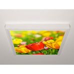Gök Panel 60X60 LED Panel Sıva Üstü Desenli Tekli 46511118SU - 6500K - Beyaz