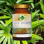 Gökçek Şifa Cüce Palmiye Toz Ekstresi (Serenoa repens)100 gr. Cam Kavanoz - --