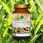 Gökçek Şifa Havlıcan Toz Ekstresi 100 Gr. Cam Kavanoz