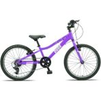 Gokıdy Dude 20" Vitesli Mor Bisiklet