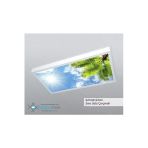Gökyüzü Panel 60X120 Gökyüzü Panel Avize, 106Watt Led, Sıva Üstü, Kolay Montaj Led Panel, Palmiye Avize