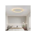 Gold Ø30CM Çember 3000K Işık Rengi, Kumandalı LED Tavan Lambası,yuvarlak Avize,modern Aydınlatma,dekoratif Işık