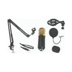 Gold Audıo Gold Audio STU-001 Stüdyo Mikrofon Kayıt Seti