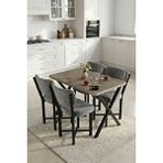 Gold Falez Mutfak Masası 4 Sandalyeli Set 110x70 Cm Modern Masa Takımı Cafe Balkon Ofis Masa Elma 9887 Anstrast Gri