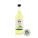 Gold Gull Lime (Yeşil Limon) Aromalı Kahve ve Meyve Şurubu - 700 ml