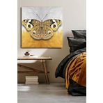 Gold Kelebek Tek Parça Kare 65x65 Cm Kanvas - Canvas Tablo