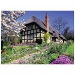 Gold Ravensburger House 300 Parça Puzzle