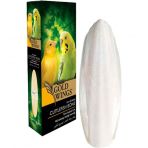 Gold Wings Mürekkep Balığı (Kalamar) Kemiği Kuş Gaga Taşı S