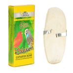 Gold Wings Mürekkep Balığı Kemiği (kalamar) 11 Cm