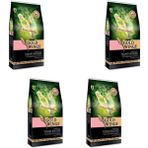 Gold Wings Premium 4x1 kg Yavru Muhabbet Kuşu Yemi
