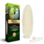 Gold Wings Premium Küçük Mürekkep Balığı Kalamar Kemiği