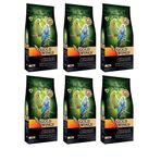 Gold Wings Premium Muhabbbet Kondisyon 200 gr 6'lı Kuş Yemi