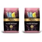 Gold Wings Premium Yavru Muhabbet Kuşu 2x1 kg Kuş Yemi