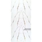 Golden Eye Mermer Desenli Pvc Duvar Paneli 122*244CM
