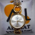 Golden Gold Alsaat Vintage Kadın Saati - Gümüş