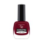 Golden Rose Paris Nail Lacquer 41 Oje