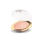 Golden Rose Terracotta Blush On -No: 9 Allık