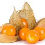 Goldenberry Altın Çilek Tohumu