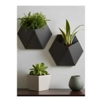 Goldesing Altıgen Duvar Saksısı Modern Dekoratif Bitki Askısı Salon ve Balkon İçin (BİTKİLER DAHİL DEĞİLDİR)
