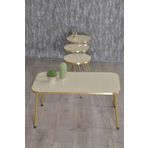 Goldfalez Zigon Sehpa Ve Orta Sehpa Kr Gold Metal Ayak Gold Krem Set