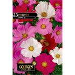 Goldgen Pro Seed Kozmoz Çiçeği Tohumu - 1 Paket