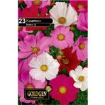 Goldgen Pro Seed Kozmoz Çiçeği Tohumu