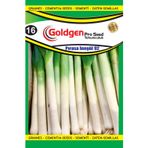 Goldgen Pro Seed Pırasa Tohumu