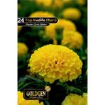 Goldgen Pro Seed Top Kadife Tohumu (Sarı)