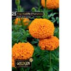 Goldgen Pro Seed Top Kadife Tohumu