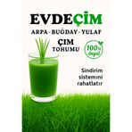 GoldMind EVDE ÇİM 500Gr Buğday, Arpa, Yulaf Çimi Tohumu (3lü karışım) 500g