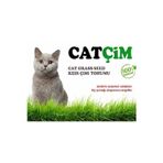 GoldMind KEDİ ÇİMİ KİTİ 1Kg Arpa Buğday Yulaf. (3lü Karışım) 1Kg