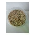 GoldMindMix Kuşyemi-yulaf-1 10 Kg Kuş Yemi ( Kabuklu Yulaf ) 10Kg. Papağan Kanarya, Muhabbet Kuşu, Güvercin Için.