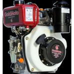 Goldmoto Gm170f-g5 Dizel Motor 5 Hp İpli Krank Mili Konik Kısa