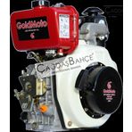 Goldmoto Gm178f-c Dizel Motor 7 Hp İpli Krank Mili Kamalı
