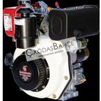 Goldmoto Gm178fe-g7 Dizel Motor 7 Hp Marşlı Krank Mili Konik Kamalı