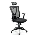 Goldsit Ergonomik Fileli Yönetici Koltuğu